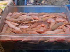 -双合园·海鲜水饺青岛菜(万佳广场店)