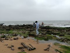 -西秀海滩公园