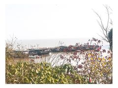-巢湖姥山岛