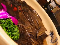 -小龙坎火锅(泉舜店)