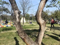 -长洲岛都市农业公园