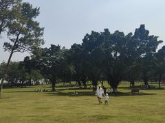-东莞植物园