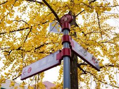 -四川大学(华西校区)