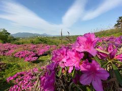-许家山