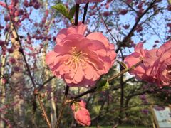 -森林公园(尖草坪区)