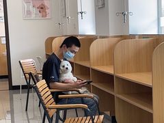 -瑞派长江宠物医院·猫科·外科·24小时夜护(谊城公寓分院)