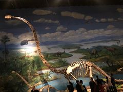 -自贡恐龙博物馆