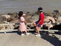 -吴淞炮台湾湿地森林公园烧烤区