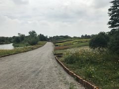 -梁鸿国家湿地公园