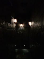 -翱翔飞越地平线