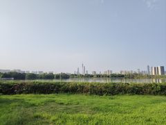 -海珠湖公园