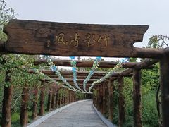 -南汇桃花村