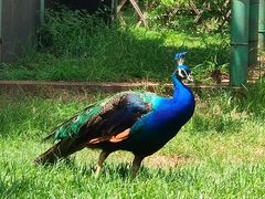 -昆明动物园