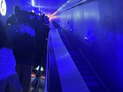 -白鹤梁水下博物馆