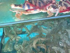 -三亚相缘海鲜·烧烤·糟粕醋(三亚湾店)