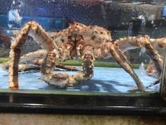 -鸿港海鲜批发市场