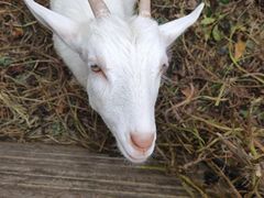 -杭州师范大学(下沙校区)