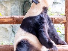 -泉州海丝野生动物世界
