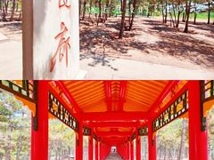 -乌素图国家森林公园