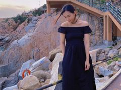 -广东惠东海龟国家级自然保护区