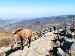 -北京灵山风景区