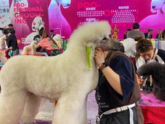 -东浩兰生上海世博展览馆