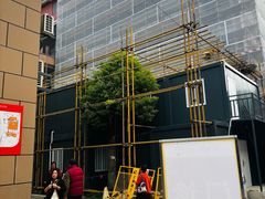 -上海市第七人民医院