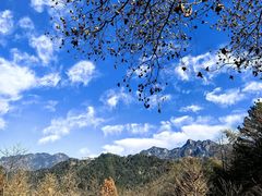 -九华山风景区月身宝殿