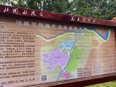 -汤旺河林海奇石景区
