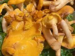 -滇野云南野生菌餐厅(陕西南路店)