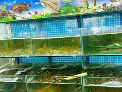 -林记潮汕海鲜砂锅粥(平潭店)
