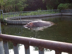android_upload_pic-福州动物园