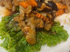 三鲜烧蹄筋-添福来墨鱼饺子 · 海鲜东北菜(泡崖店)