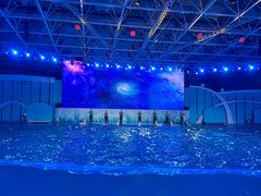 -海合安青岛极地海洋公园