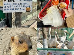 -水上乐园·欢乐世界