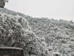 -神农山景区