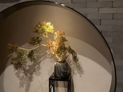 -江南足纪·影院足道·轻奢SPA(笋岗HALO广场店)