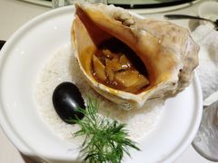 -太极禅苑