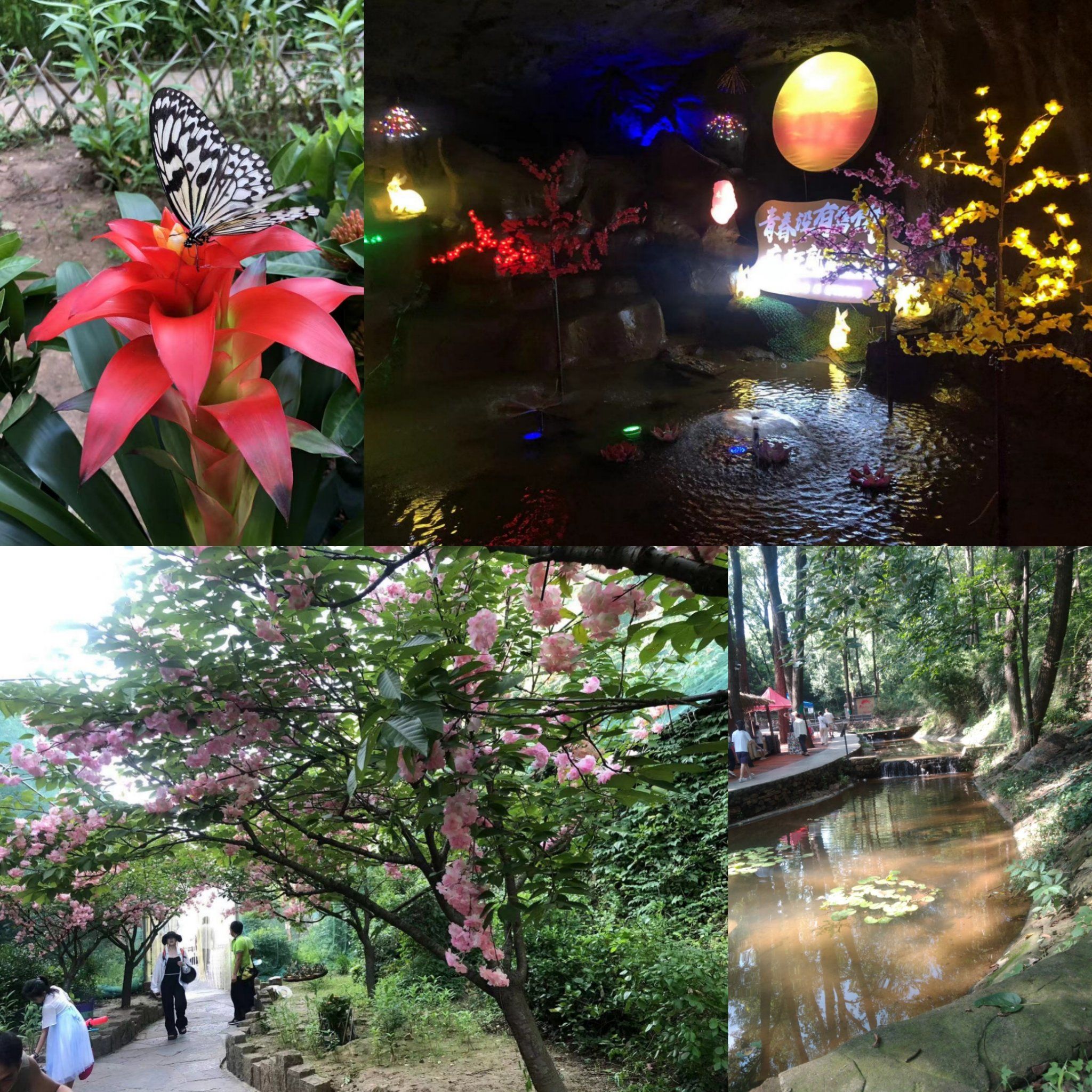 沂水萤火虫水洞