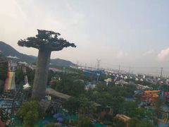 -苏州乐园森林水世界