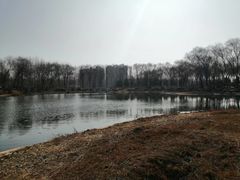 -秀水公园