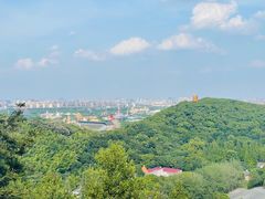 -上海佘山国家森林公园天马山园