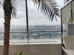 -上海浦东康桥绿地假日酒店