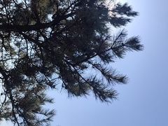-棋盘山风景区