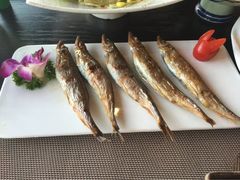 莎海酒店星空旋转中餐厅-莎海国际酒店-莎海餐厅