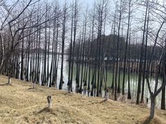 -苏州太湖国家湿地公园