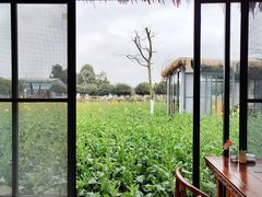 -洪湖家庭农场·团建·露营·会议