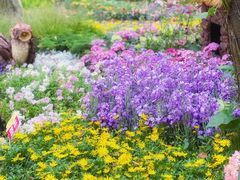 -广州市白云山风景名胜区