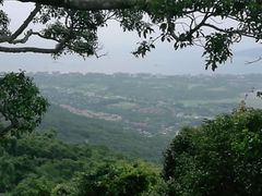 -亚龙湾热带天堂森林公园