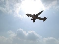 -空港花田景区